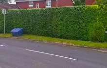 20140603_114949_richtonehdr22