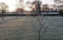image-3