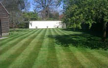 Summer vs Grass