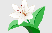 A brand new look for Pic-a-lily